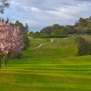 Healdsburg golf